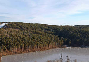 Студия квартира, вторичка, 22м2, 25/26 этаж