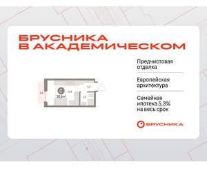 Студия квартира, вторичка, 21м2, 3/9 этаж