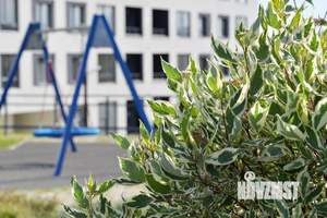 3-к квартира, строящийся дом, 77м2, 20/26 этаж