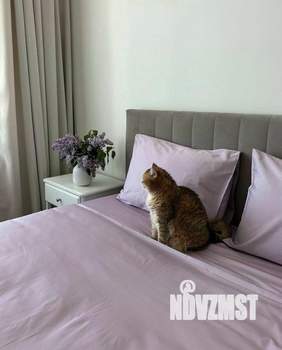 3-к квартира, вторичка, 68м2, 24/25 этаж