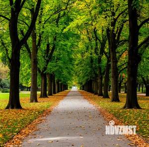 1-к квартира, вторичка, 33м2, 4/9 этаж